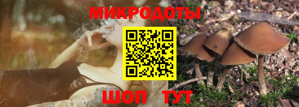 Псилоцибиновые грибы MAGIC MUSHROOMS  магазин продажи наркотиков  Вход с VPN  Нижнекамск  Галлюциногенные грибы MAGIC MUSHROOMS 