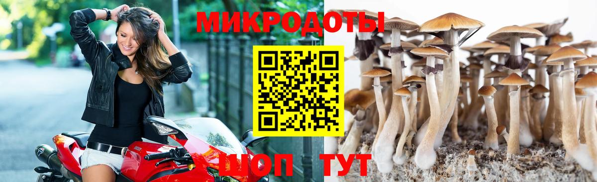 Псилоцибиновые грибы прущие грибы Нижнекамск